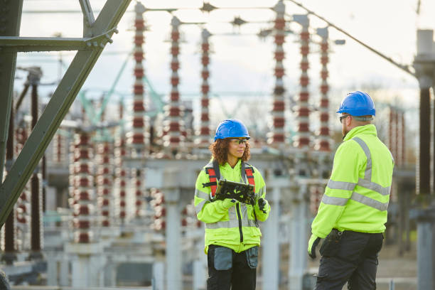 Best Electric Panel Repair  in White Castle, LA